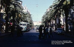 Mas- 071- Oran 